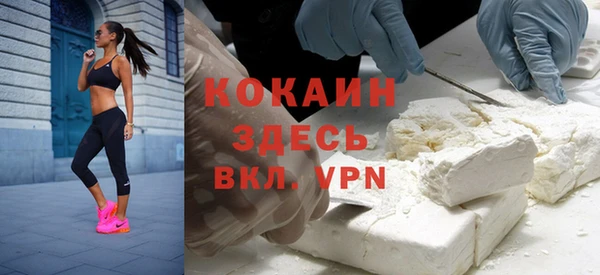 гидра Каменка