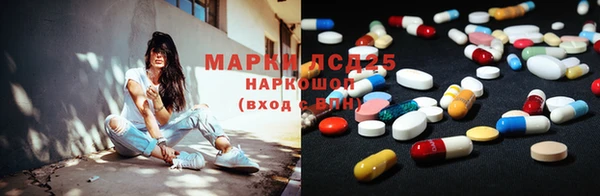 гидра Каменка