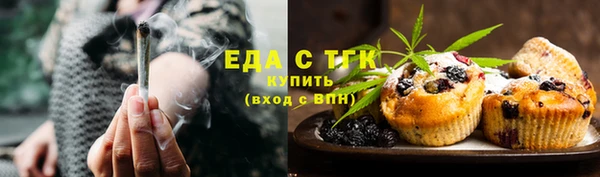 гидра Каменка