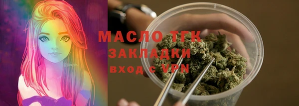 гидра Каменка