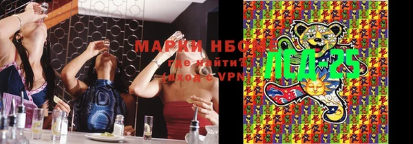 гидра Каменка