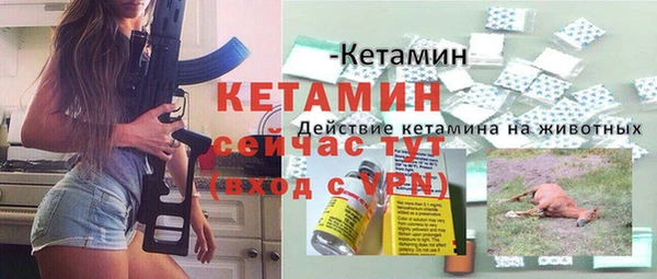 гидра Каменка
