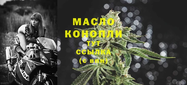 гидра Каменка