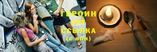 гидра Каменка