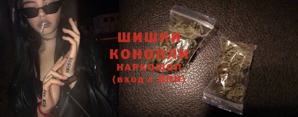 гидра Каменка